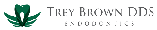 Link to Charles E. Brown, III, DDS, PLLC home page